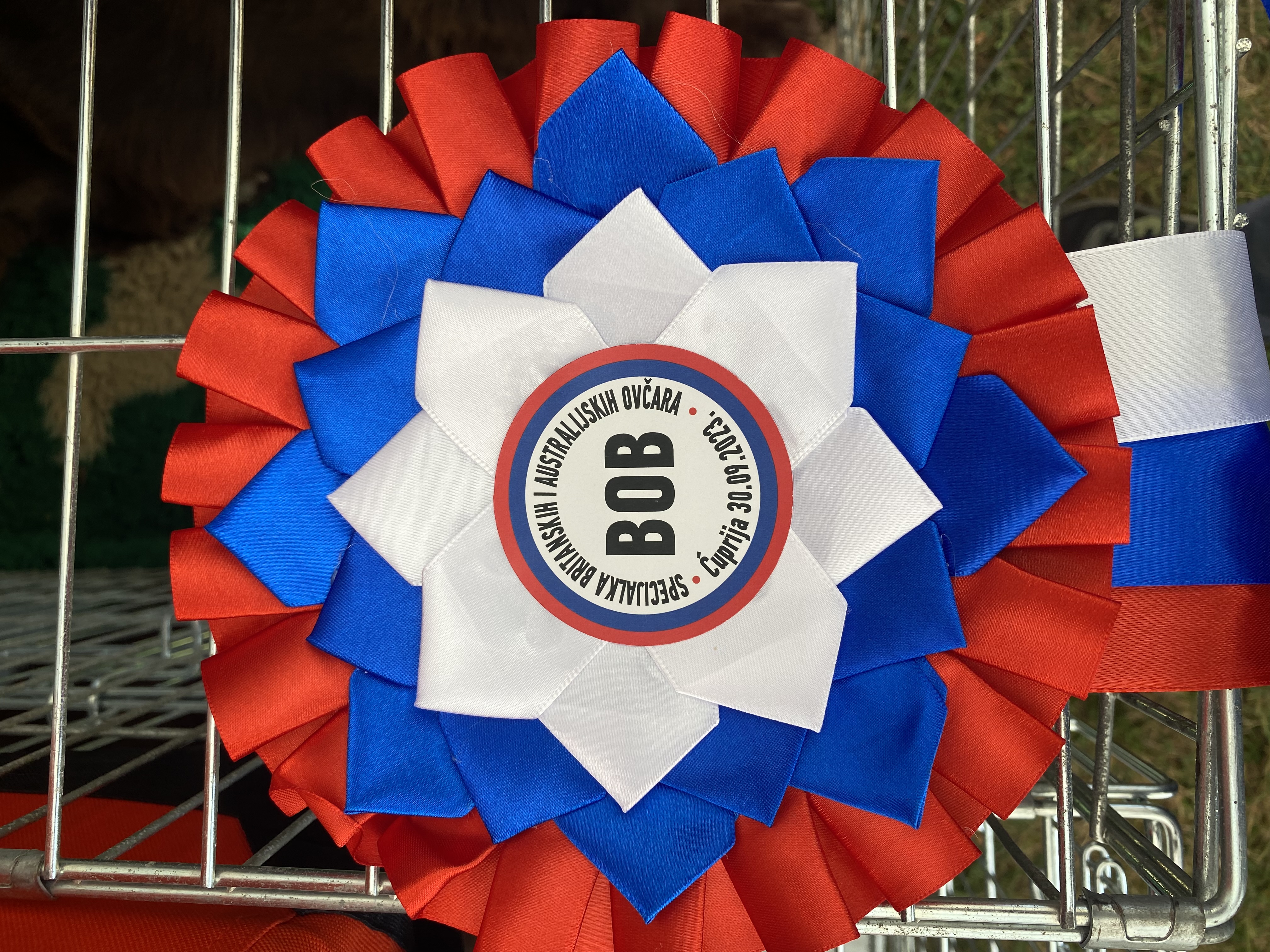 BOB Specialty Show Cuprija 2023