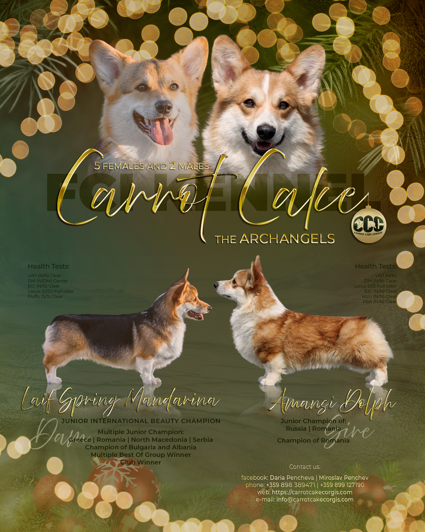 Carrot Cake the Archangels