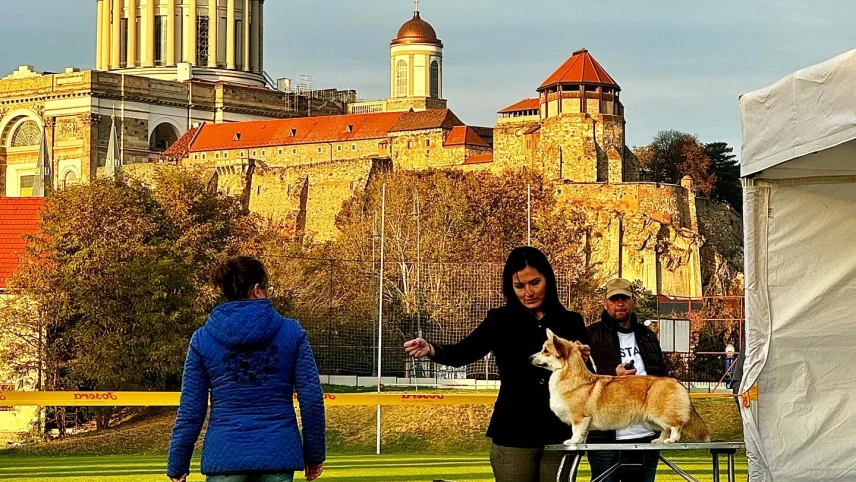 465209339_17965656761802871_2023378866465649673_n