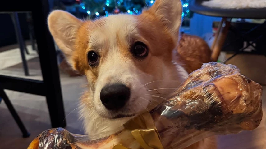 471504044_618311260884795_5690999683762543179_n