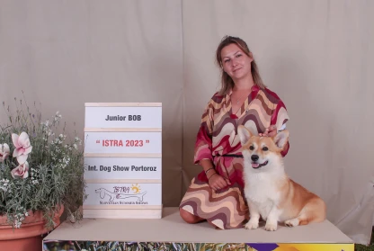 ISTRA Slovenian Summer Dog Shows 2023