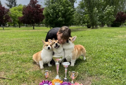 Corgi Club Show Bulgaria 2023