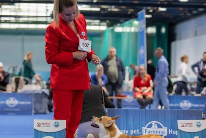 World Dog Show 2024 - Zagreb