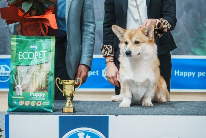 Double Triumph at IDS SAMARA CUP, Stara Zagora 23-24 November 2024