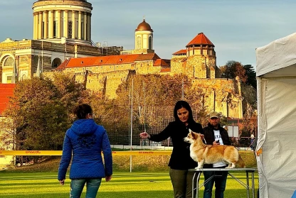 Esztergom IDS 02.11.2024