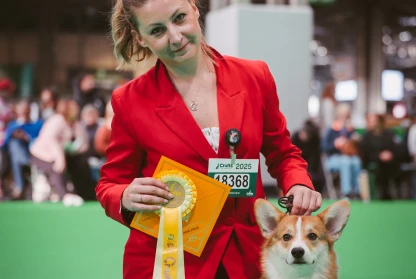 Puppy 3 at CRUFTS 2025 for Aikemuno Orion