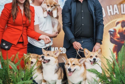 Great Results at Champions Show Dimitrovgrad