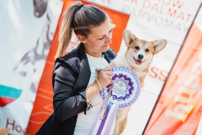 Bulgarian Corgi Club Specialti & CAC Parvomay