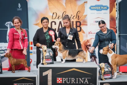 Two new Bulgarian Champions at CACIB Dobrich 2025 20-21.09