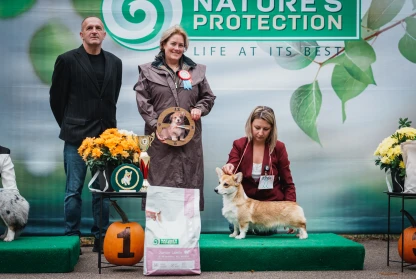 British and Australian Shepper Specialty + CACIB
