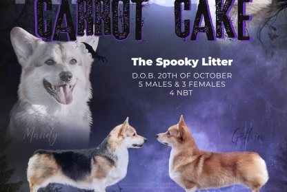 the Spooky Litter