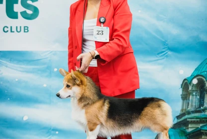 Aikemuno Orion R BOG at CACIB Sofia 2025