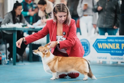 New Bulgarian Junior Champion