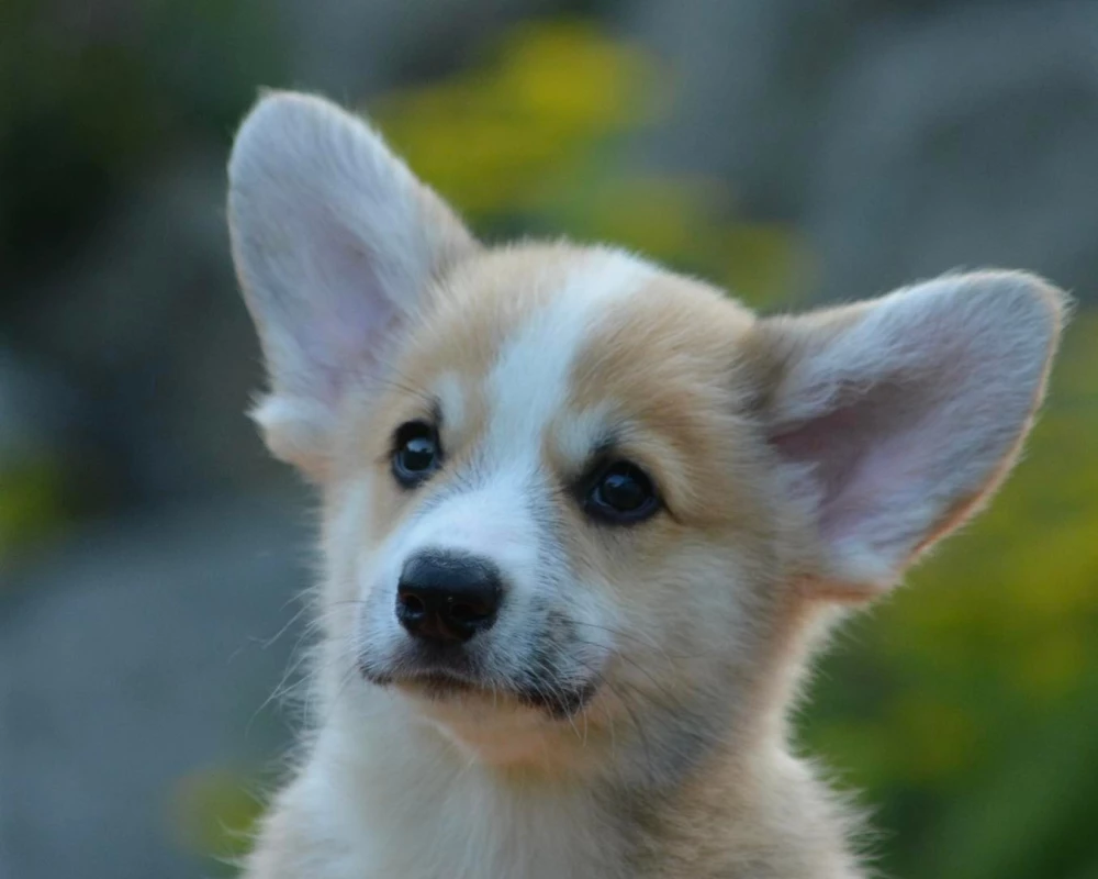 356036170_786844149605498_8512746299246268355_n