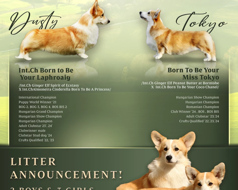 D31FD3BD-4C3F-44C6-BB5D-2DD4A18DDA0D