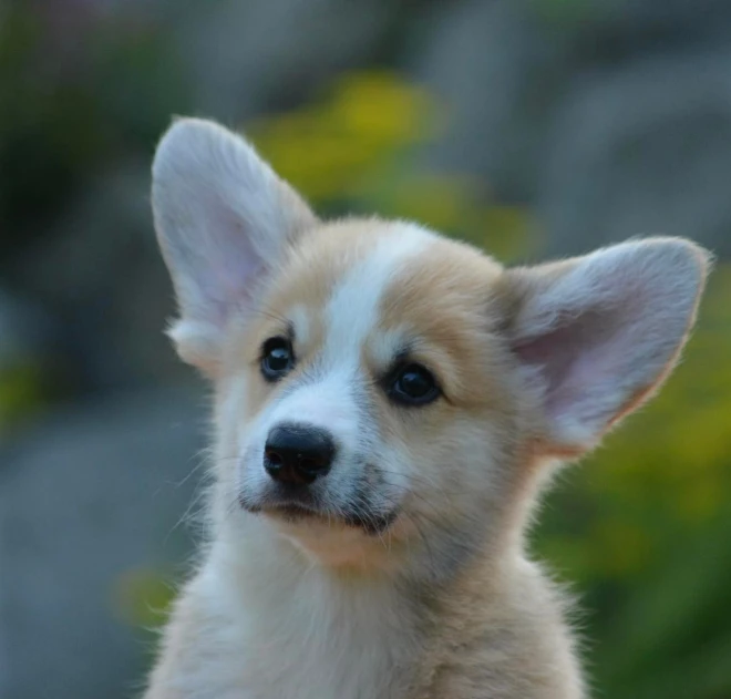 356036170_786844149605498_8512746299246268355_n