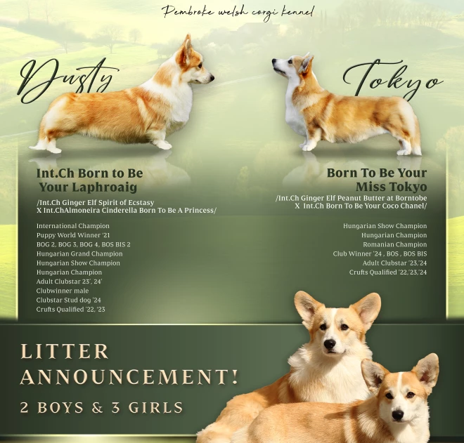 D31FD3BD-4C3F-44C6-BB5D-2DD4A18DDA0D