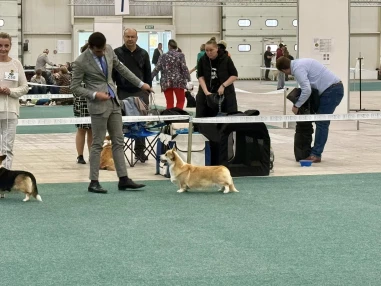 464752078_10230490010666708_745352326610105429_n