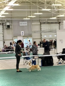 464828619_10230490009946690_2955602805337676837_n