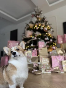 471416104_618311234218131_5065340459690053454_n