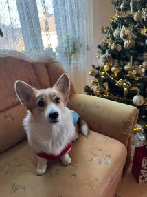 471421600_618401897542398_5758239226386267429_n