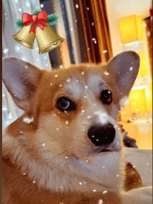 471617120_618311227551465_2053512992145113388_n